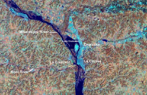 A false color infrared satellite image of Lake Onalaska, Pool 7 of the Upper Mississippi River System.