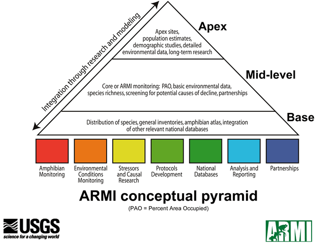 ARMI conceptual pyramid