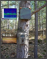 Automated digital sound recorder and camera installed next to a northern Wisconsin wetland. Courtesy of the U.S. Geological Survey.