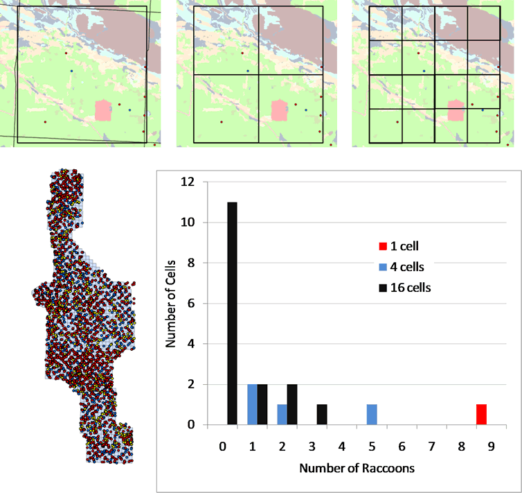 Figure 1. Schematic describing a) spatial distribution of all observations of raccoons in 2004 across full study area; 9 observations of raccoons in b) one 16-mi2 study block (i.e., a density of 0.56 raccoons per mile, 100% occupancy), c) 4 4-mi2 study blocks, ranging in density from 0.25 to 1.25 raccoons per mi2, 100% occupancy, and d) 16 1-mi2 study blocks, with observed density ranging from 0 to 3 raccoons per mi2, 31.25% occupancy. The histogram (e) of the number of raccoons/cell indicates an increasing skew toward a greater proportion of unoccupied cells as cell resolution becomes increasingly fine.