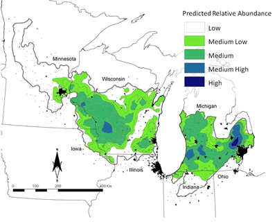 Predicted patterns of relative abundance for Blue-winged Warblers 
